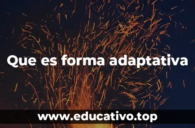 Que es forma adaptativa