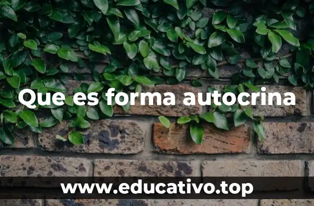 Cómo funciona la señalización autocrina