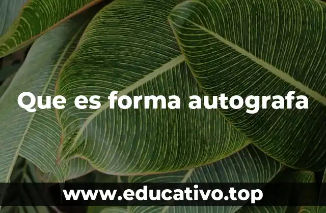 Que es forma autografa
