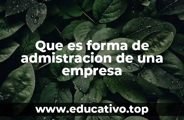 Modelos de gestión empresarial