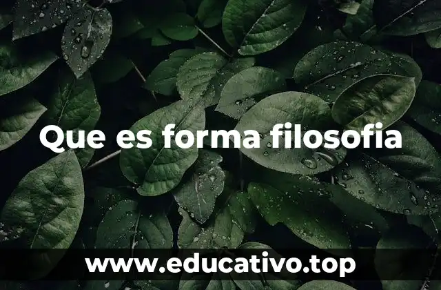 Que es forma filosofia