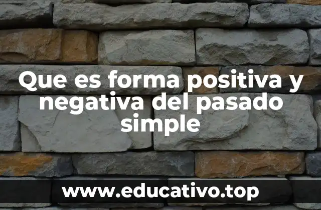 Que es forma positiva y negativa del pasado simple