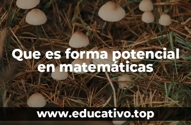 Que es forma potencial en matemáticas