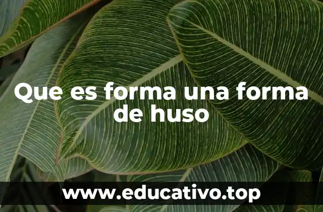 Que es forma una forma de huso