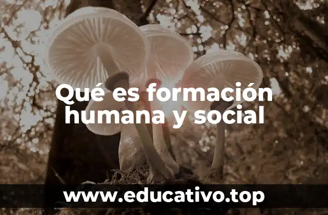 Qué es formación humana y social