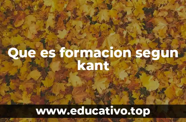 Que es formacion segun kant