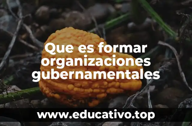 Que es formar organizaciones gubernamentales