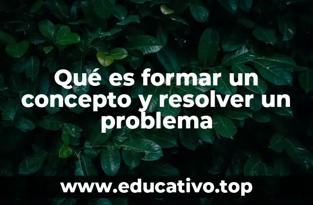 Qué es formar un concepto y resolver un problema