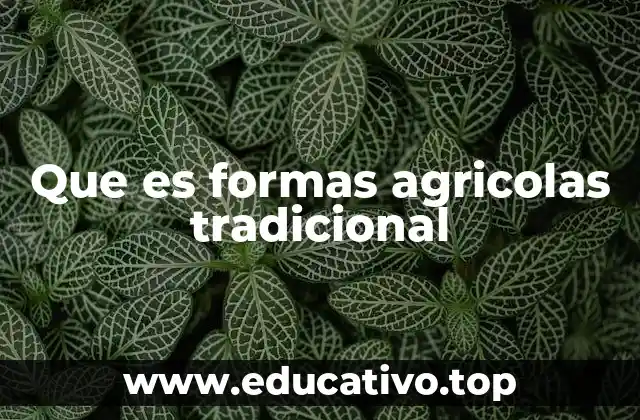 Que es formas agricolas tradicional