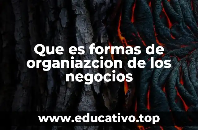 Que es formas de organiazcion de los negocios