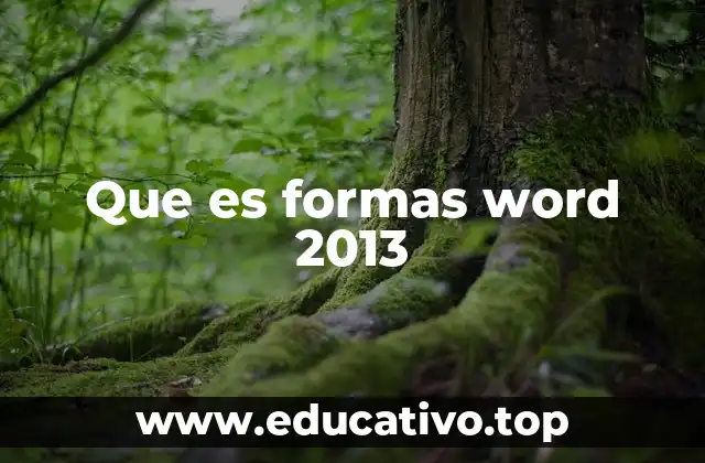 Que es formas word 2013