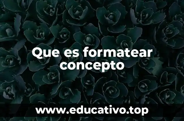 Que es formatear concepto