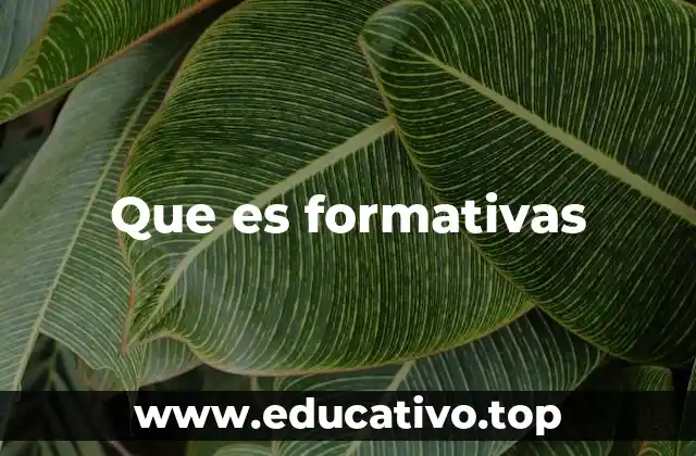 Que es formativas