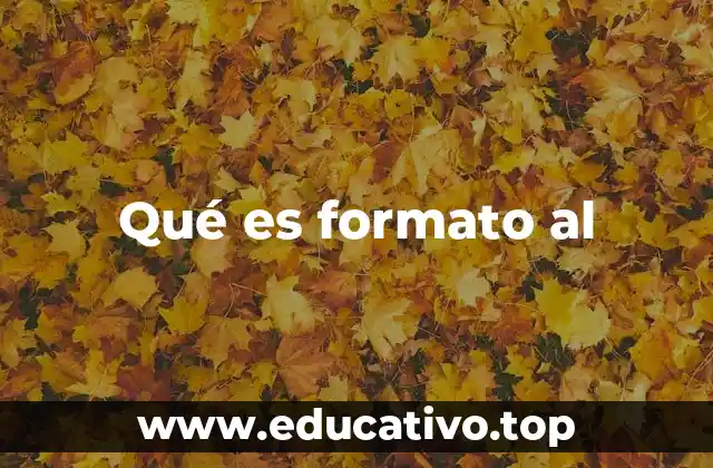 Qué es formato al