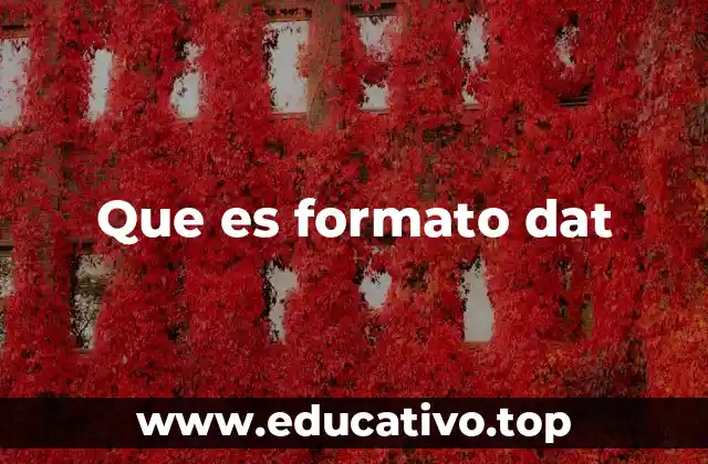 Que es formato dat