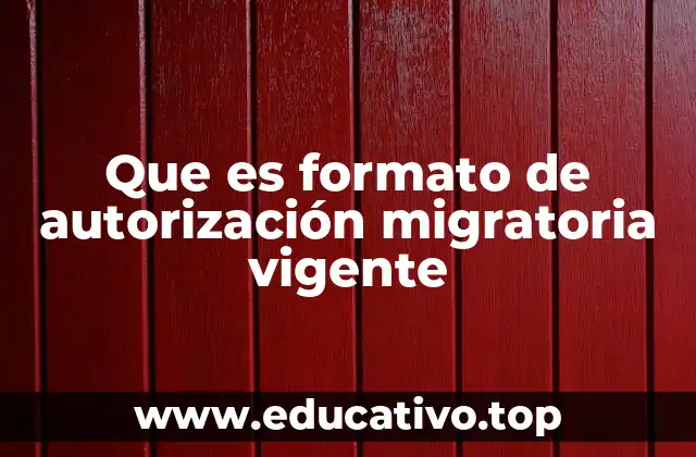 El papel del formato migratorio en el flujo legal de extranjeros