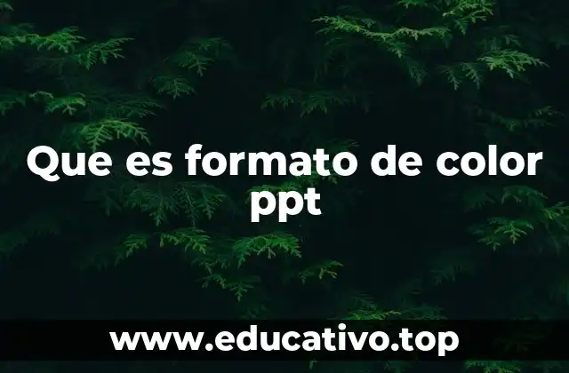 Que es formato de color ppt