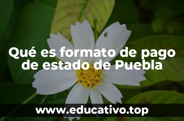 Qué es formato de pago de estado de Puebla