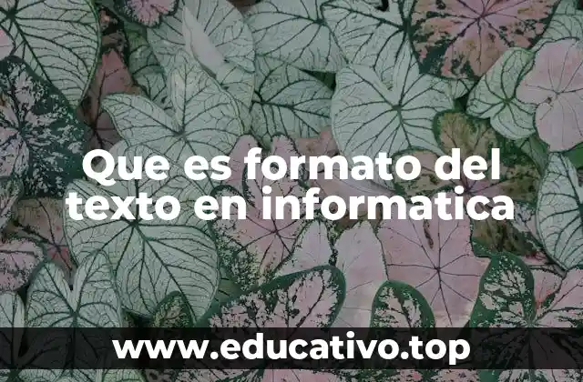 Que es formato del texto en informatica