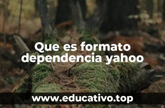 Que es formato dependencia yahoo