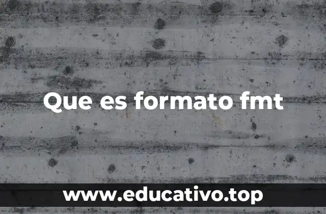 Que es formato fmt