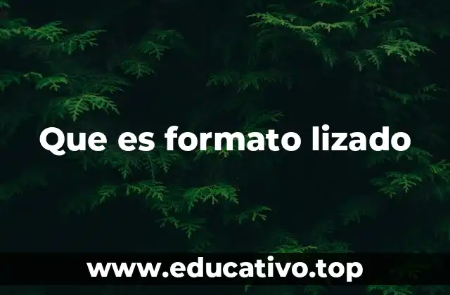 Que es formato lizado