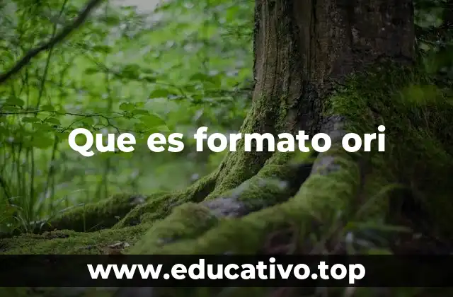Que es formato ori