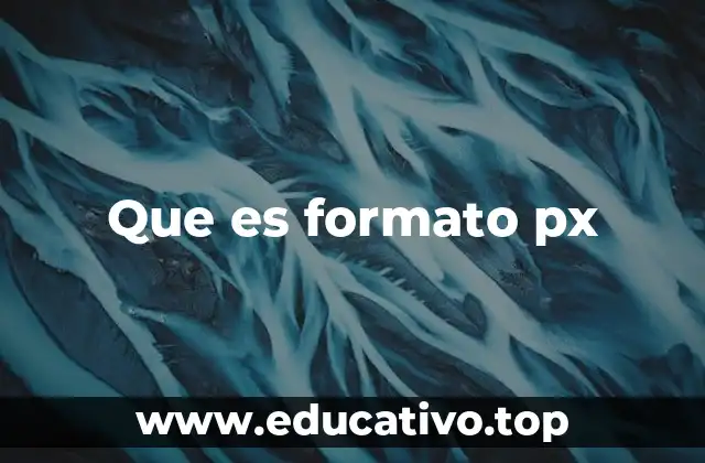 Que es formato px