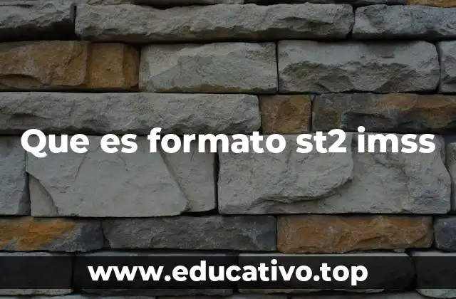 Que es formato st2 imss
