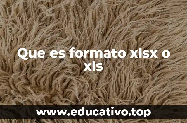 Que es formato xlsx o xls