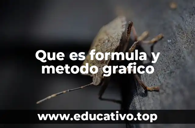 Que es formula y metodo grafico