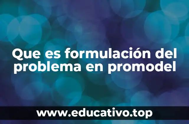 Que es formulación del problema en promodel