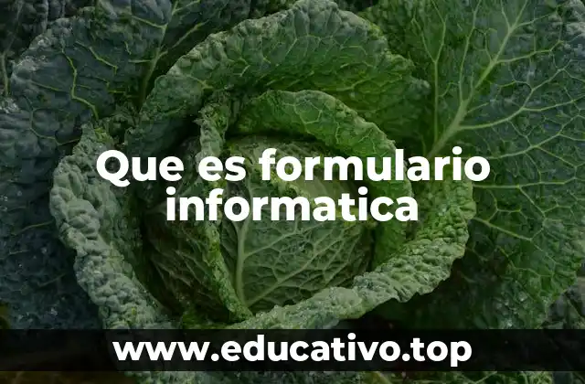 Que es formulario informatica