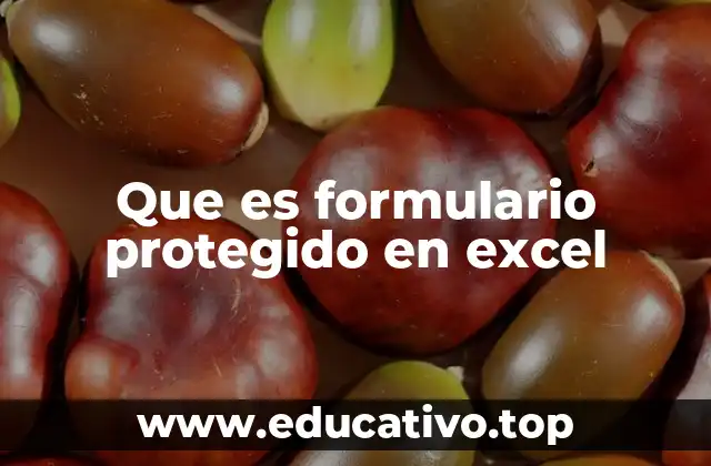 Que es formulario protegido en excel