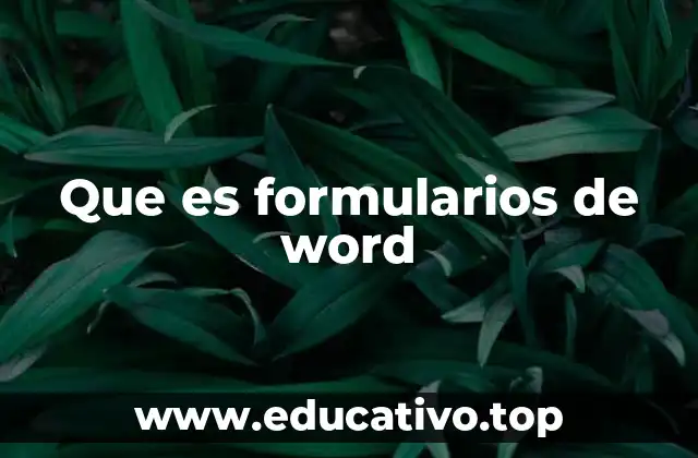 Que es formularios de word