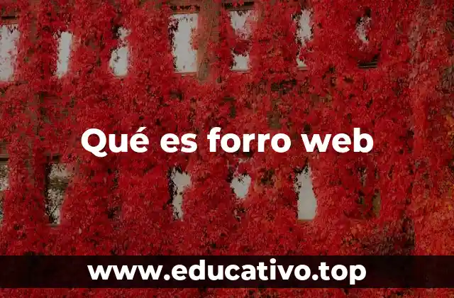 Las características de un forro web