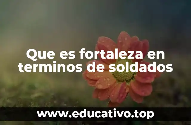 Que es fortaleza en terminos de soldados