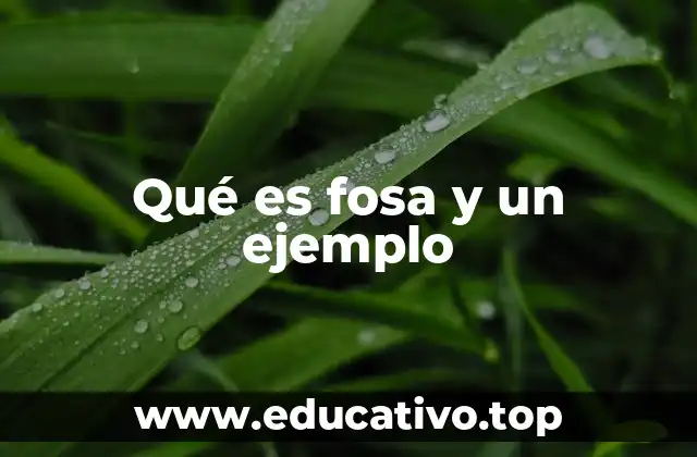 Qué es fosa y un ejemplo