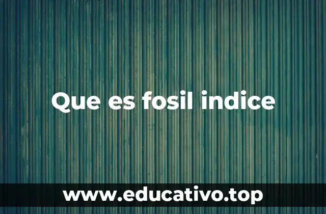 Que es fosil indice