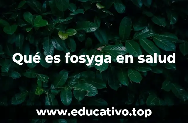 Qué es fosyga en salud