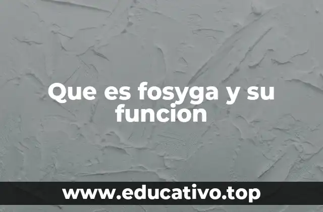 Que es fosyga y su funcion