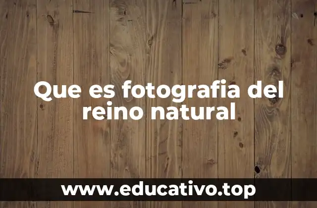 Que es fotografia del reino natural