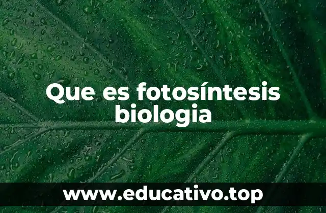 Que es fotosíntesis biologia