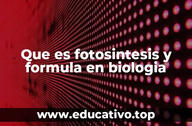 Que es fotosintesis y formula en biologia