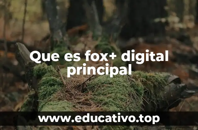 Que es fox+ digital principal