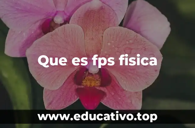 Que es fps fisica