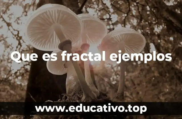 Que es fractal ejemplos