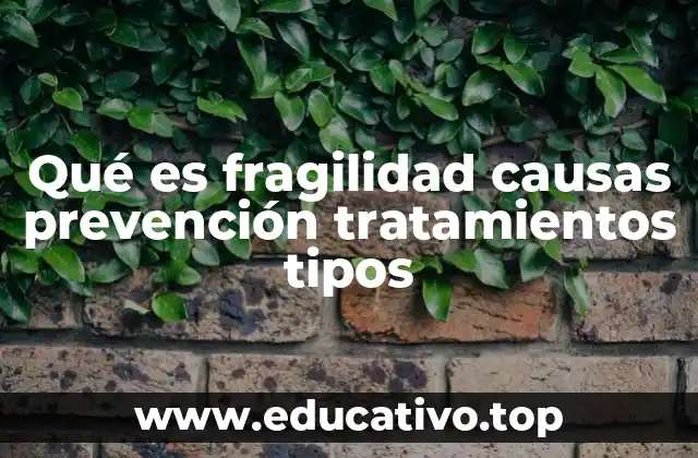 Qué es fragilidad causas prevención tratamientos tipos