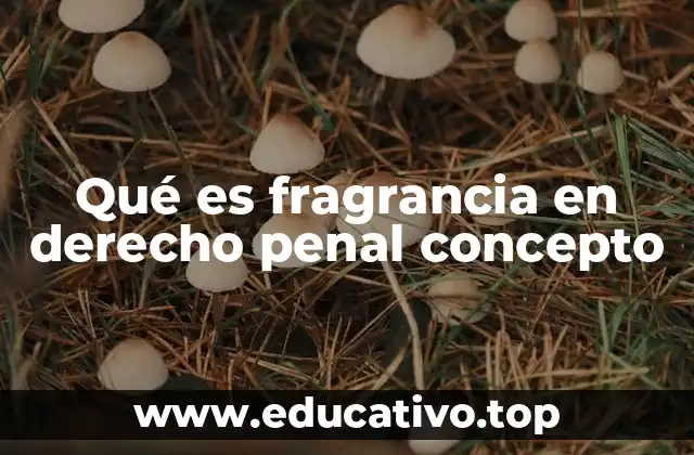 Qué es fragrancia en derecho penal concepto