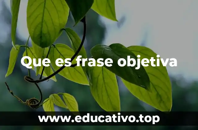 Que es frase objetiva